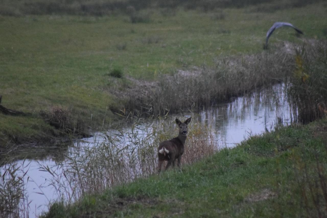 B&B 'T Steurgat Werkendam Esterno foto
