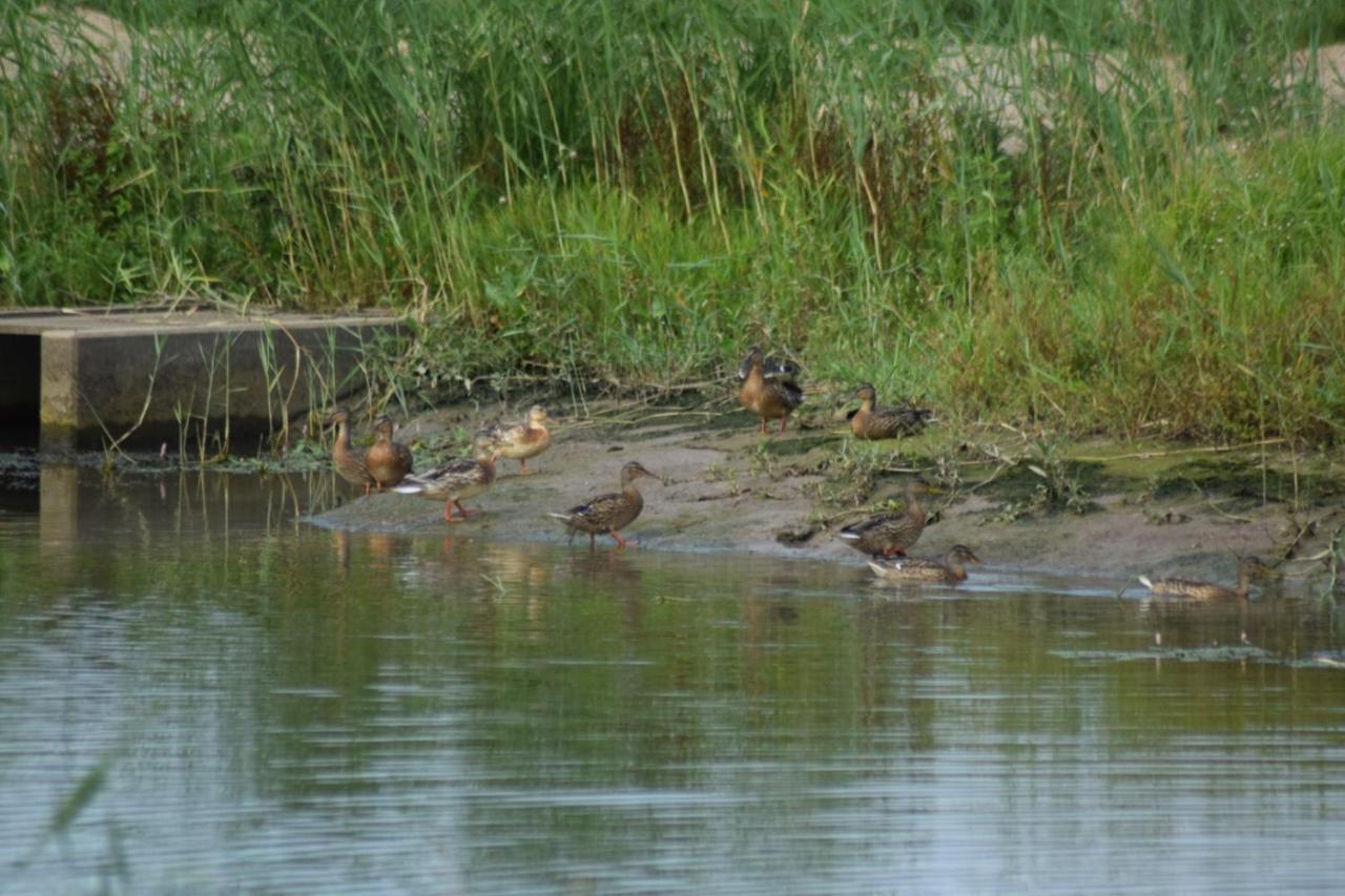 B&B 'T Steurgat Werkendam Esterno foto