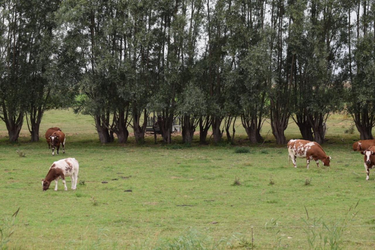 B&B 'T Steurgat Werkendam Esterno foto